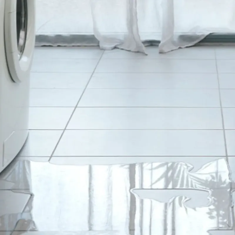 Appliance Leak Cleanup in Long Beach, IN
