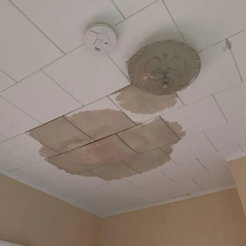 Ceiling Water Damage Repair in Long Beach, IN