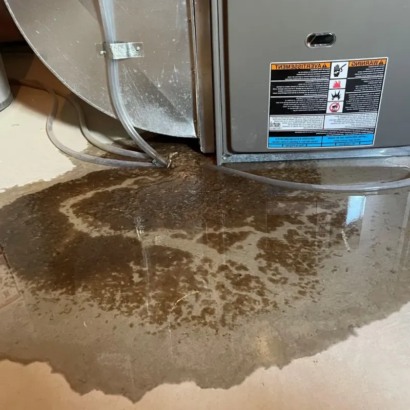Pipe Burst and Leak Restoration in Long Beach, IN