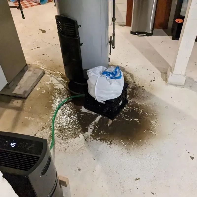 Sewage Backup Cleanup Service in Long Beach, IN